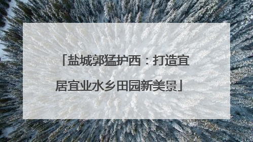 盐城郭猛护西：打造宜居宜业水乡田园新美景