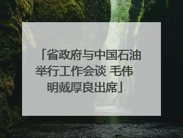 省政府与中国石油举行工作会谈 毛伟明戴厚良出席