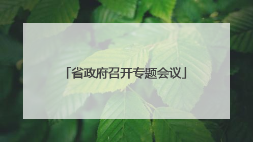 省政府召开专题会议