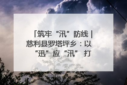 筑牢“汛”防线｜慈利县罗塔坪乡：以“迅”应“汛” 打赢暴雨防御战