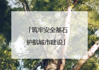 筑牢安全基石 护航城市建设