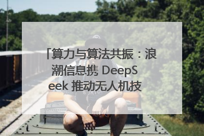 算力与算法共振：浪潮信息携 DeepSeek 推动无人机技术在舟山落地