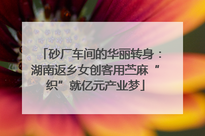 砂厂车间的华丽转身：湖南返乡女创客用苎麻“织”就亿元产业梦