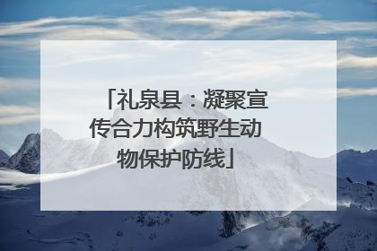 礼泉县：凝聚宣传合力构筑野生动物保护防线