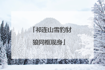 祁连山雪豹豺狼同框现身
