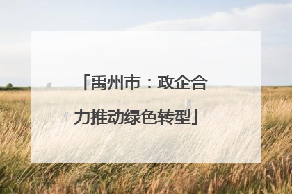 禹州市：政企合力推动绿色转型