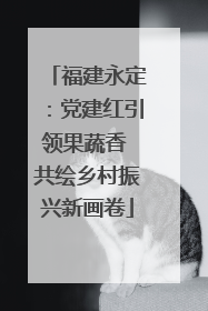 福建永定：党建红引领果蔬香 共绘乡村振兴新画卷