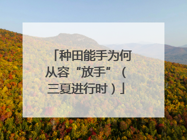 种田能手为何从容“放手”（三夏进行时）