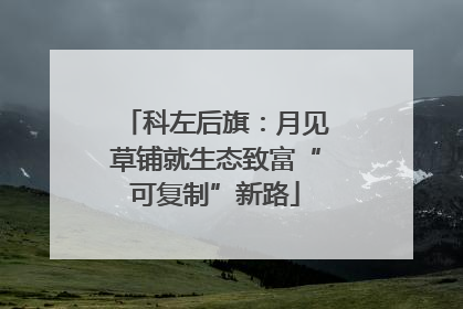 科左后旗：月见草铺就生态致富“可复制”新路