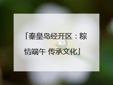秦皇岛经开区：粽情端午 传承文化