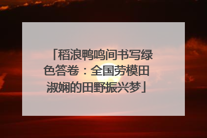 稻浪鸭鸣间书写绿色答卷：全国劳模田淑娴的田野振兴梦