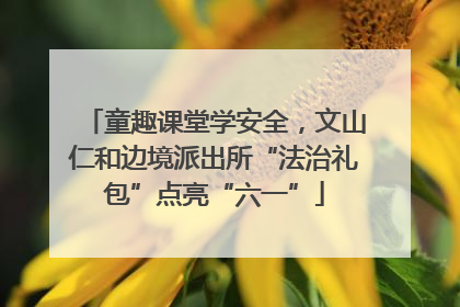 童趣课堂学安全，文山仁和边境派出所“法治礼包”点亮“六一”