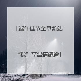 端午佳节至阜新站“粽”享温情旅途