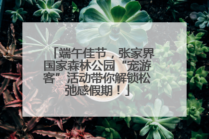 端午佳节，张家界国家森林公园“宠游客”活动带你解锁松弛感假期！