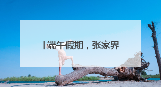 端午假期，张家界黄龙洞景区“粽香驿站”暖心上线