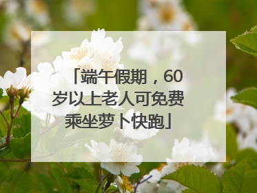 端午假期，60岁以上老人可免费乘坐萝卜快跑