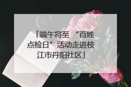 端午将至 “百姓点检日”活动走进枝江市丹阳社区