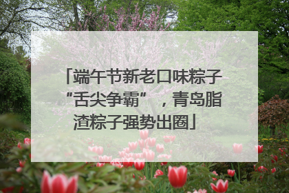 端午节新老口味粽子“舌尖争霸”，青岛脂渣粽子强势出圈