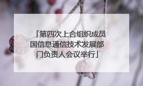 第四次上合组织成员国信息通信技术发展部门负责人会议举行