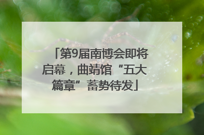 第9届南博会即将启幕，曲靖馆“五大篇章”蓄势待发