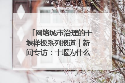 网络城市治理的十堰样板系列报道｜新闻专访：十堰为什么成为“黑马型”城市治理网络维度典型