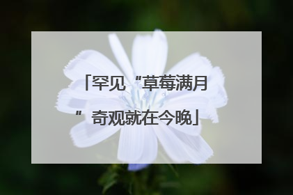 罕见“草莓满月”奇观就在今晚