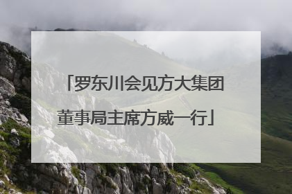 罗东川会见方大集团董事局主席方威一行