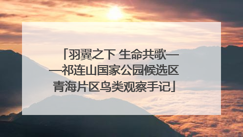 羽翼之下 生命共歌——祁连山国家公园候选区青海片区鸟类观察手记