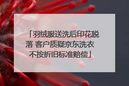 羽绒服送洗后印花脱落 客户质疑京东洗衣不按折旧标准赔偿