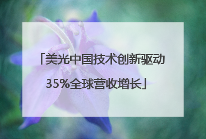 美光中国技术创新驱动35%全球营收增长