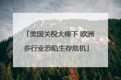 美国关税大棒下 欧洲多行业恐陷生存危机