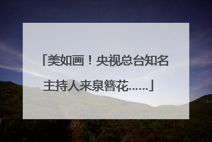 美如画！央视总台知名主持人来泉簪花……