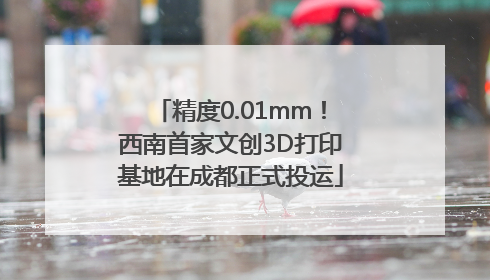 精度0.01mm！西南首家文创3D打印基地在成都正式投运
