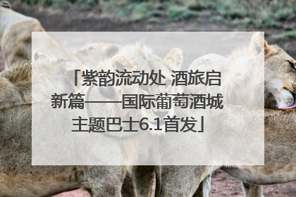 紫韵流动处 酒旅启新篇——国际葡萄酒城主题巴士6.1首发