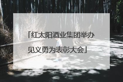 红太阳酒业集团举办见义勇为表彰大会