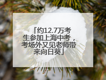 约12.7万考生参加上海中考，考场外又见老师带来向日葵