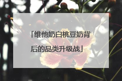 维他奶白桃豆奶背后的品类升级战