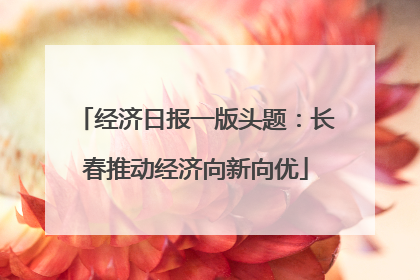 经济日报一版头题：长春推动经济向新向优