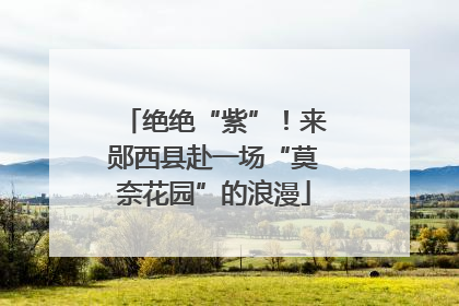 绝绝“紫”！来郧西县赴一场“莫奈花园”的浪漫