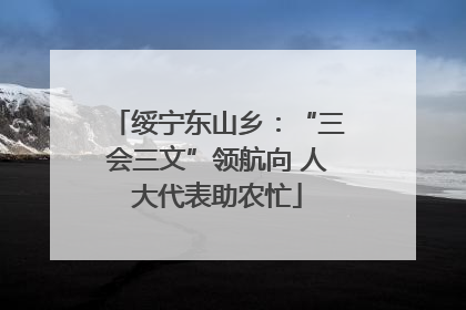 绥宁东山乡：“三会三文”领航向 人大代表助农忙