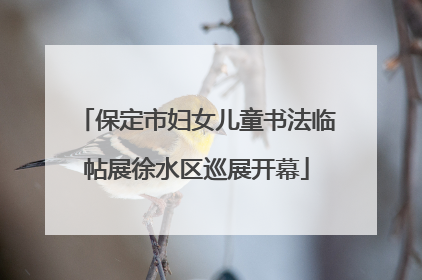 保定市妇女儿童书法临帖展徐水区巡展开幕