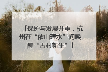 保护与发展并重，杭州在“依山理水”间唤醒“古村新生”