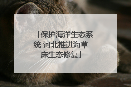 保护海洋生态系统 河北推进海草床生态修复