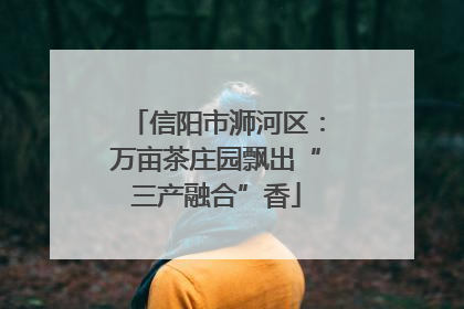 信阳市浉河区：万亩茶庄园飘出“三产融合”香