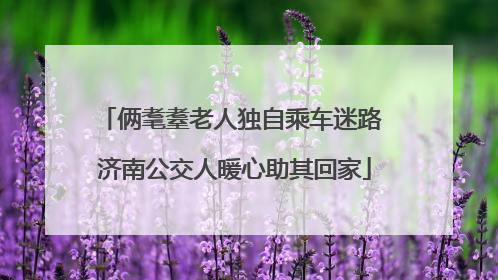俩耄耋老人独自乘车迷路 济南公交人暖心助其回家