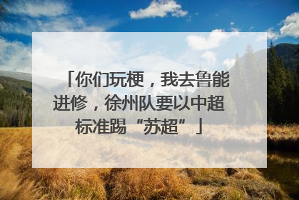 你们玩梗，我去鲁能进修，徐州队要以中超标准踢“苏超”
