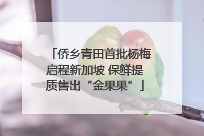 侨乡青田首批杨梅启程新加坡 保鲜提质售出“金果果”