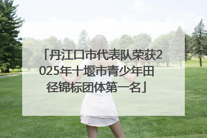 丹江口市代表队荣获2025年十堰市青少年田径锦标团体第一名