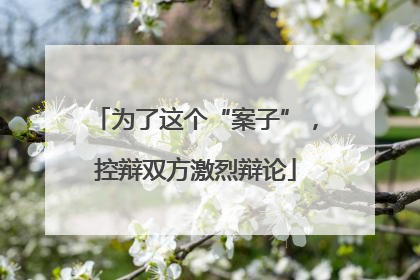为了这个“案子”，控辩双方激烈辩论