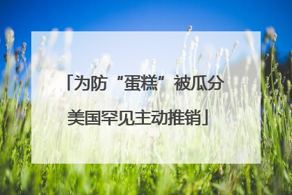 为防“蛋糕”被瓜分 美国罕见主动推销